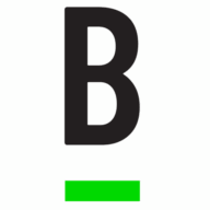 Bridge Investment Group