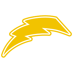Drive Pulse logo