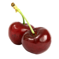 Faby Frucht logo