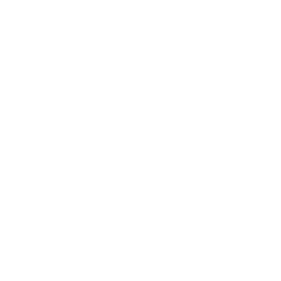 Lightscreen AI logo