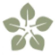 MorningStar Senior Living