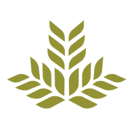 Northeast Georgia Health System