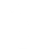 Pegasus Laboratories