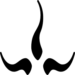 prAna