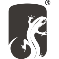 Salamander Designs