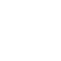 Salvy logo