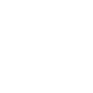 Sedaghat Law Group logo
