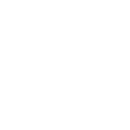 Sentrial logo