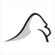 Silverback Strategies logo