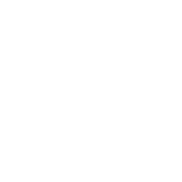 SPA logo