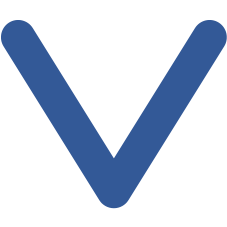 VEGA Srl