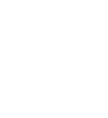 WisdomAI